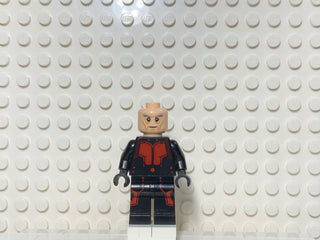 Hank Pym, sh202 Minifigure LEGO®   