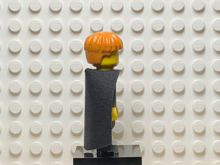 Ron Weasley, hp007 Minifigure LEGO®   
