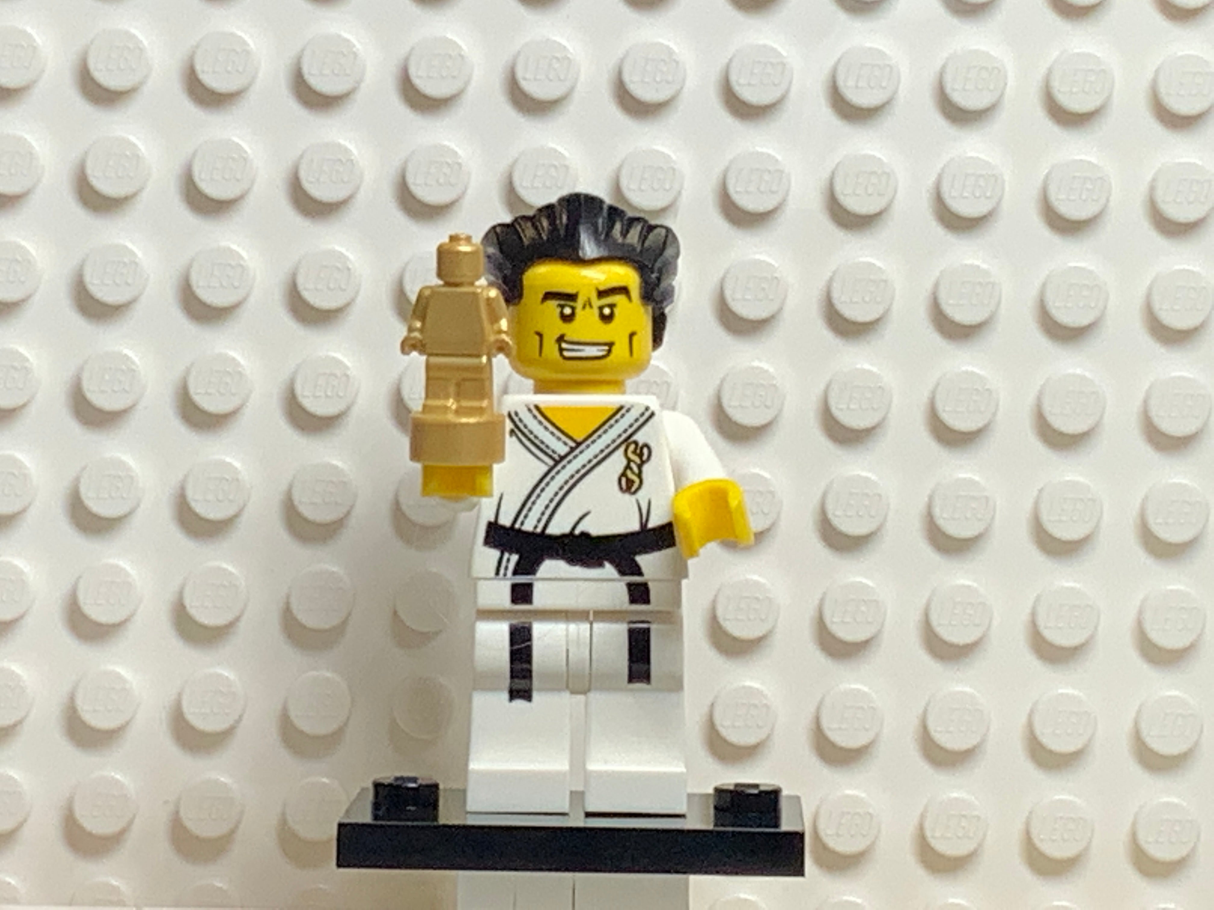 Karate Master, col02-14 – United Brick Co® - Main Image
