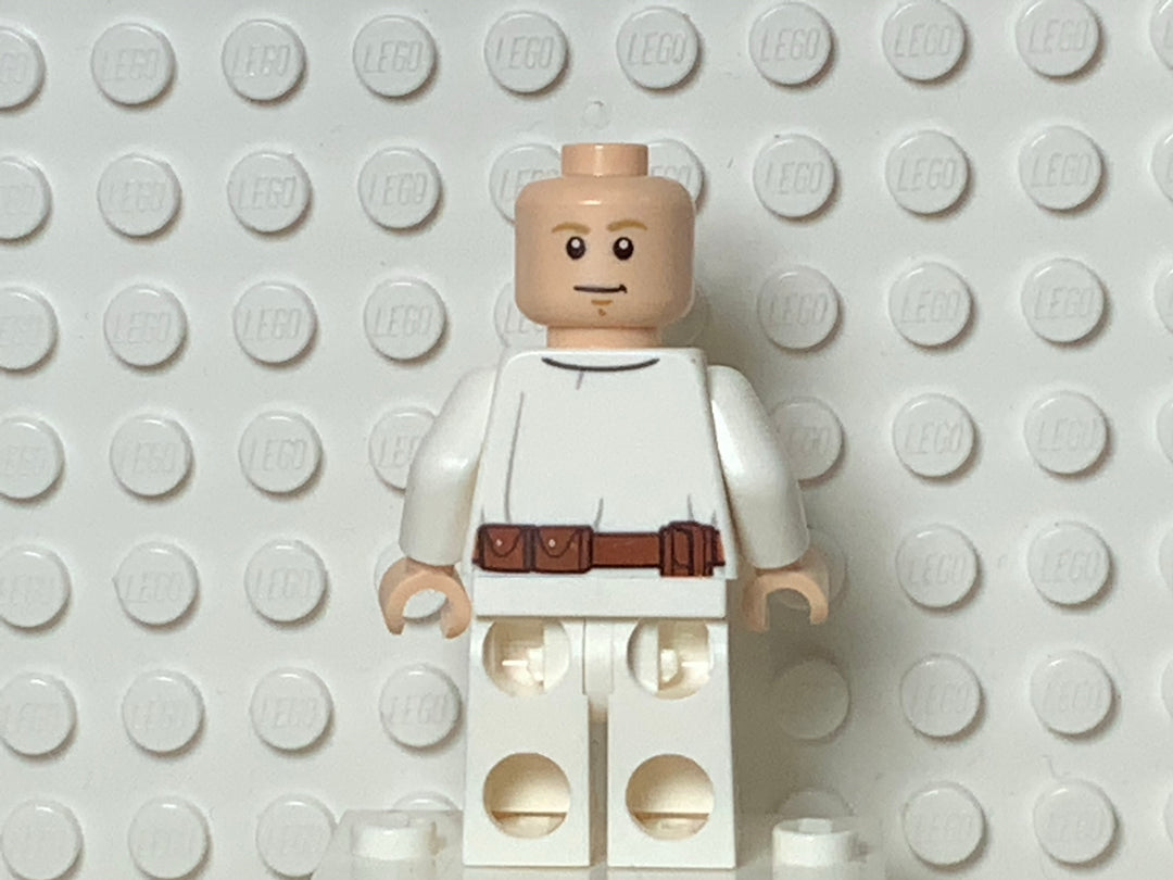 Luke Skywalker (Poncho), sw1086