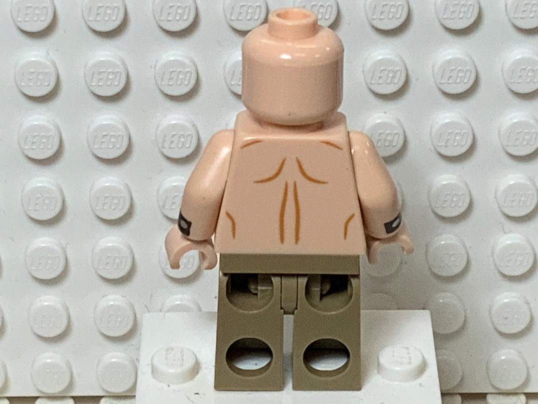 Mutant Leader, sh396 Minifigure LEGO®   
