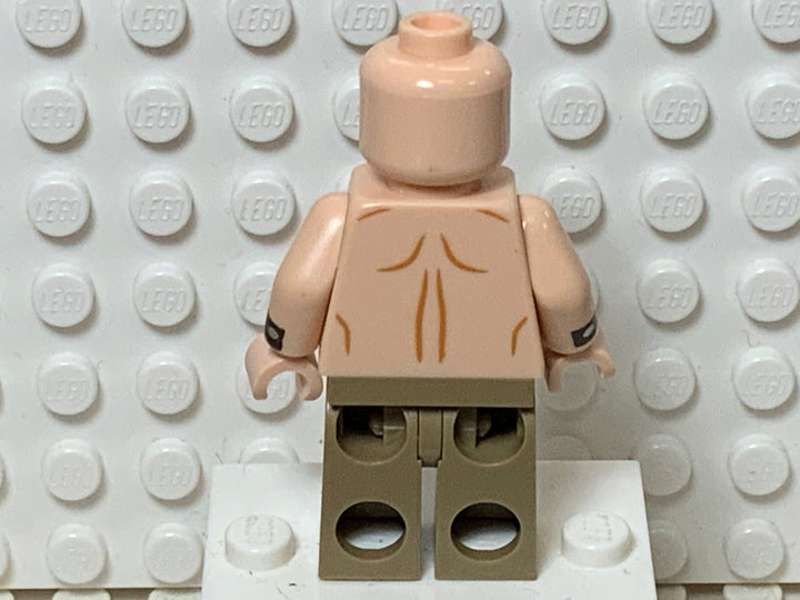 Mutant Leader, sh396 Minifigure LEGO®   