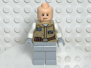 Luke Skywalker, sw0731 Minifigure LEGO®   