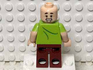 Shaggy Rogers, scd001 Minifigure LEGO®   